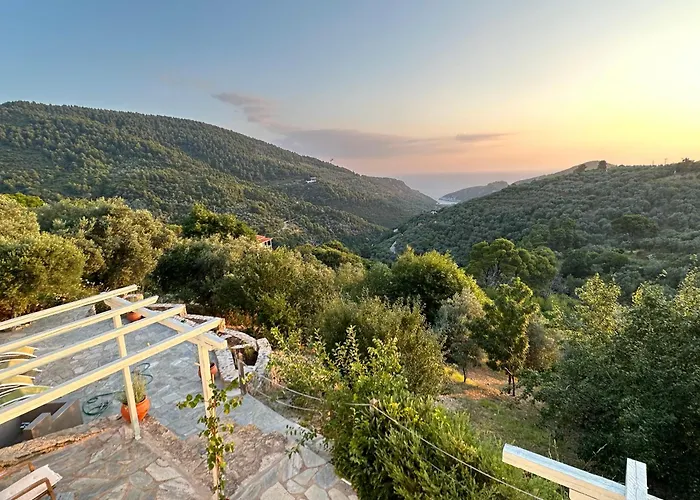 Casa vacanze Olive Mill