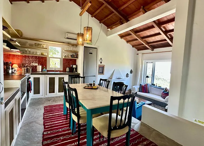 Olive Mill Σπίτι διακοπών Σκόπελος